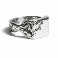 Anillo de plata Terra — Obsidian